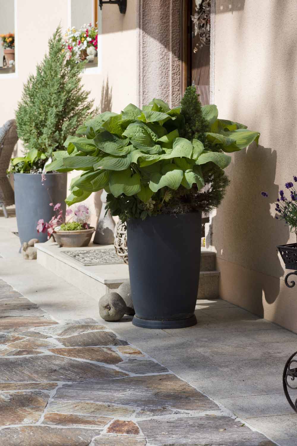 Pottery Pots
